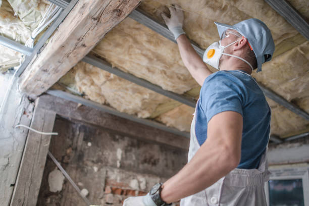 Best Insulation Maintenance and Repair in Jerome, IL
